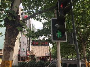 重庆市民爆料最新,神秘事件引发热议，真相究竟如何？  第3张